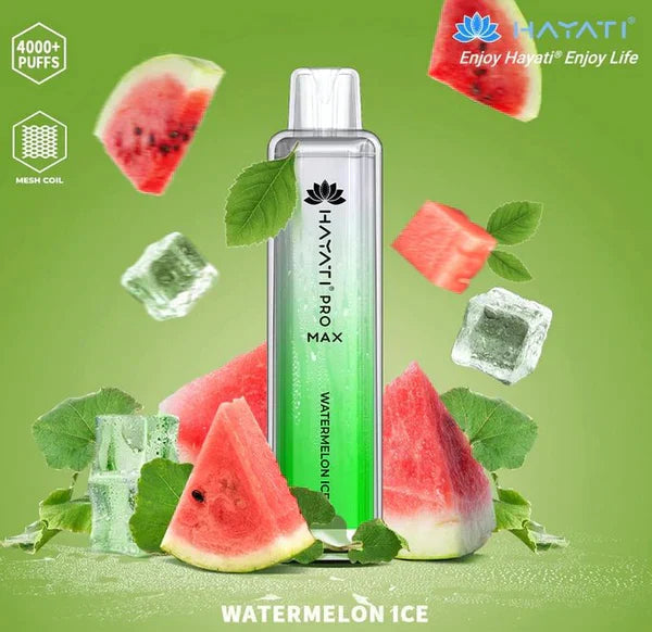 Hayati Pro Max 4000 Puffs Disposable Vape Box of 10
